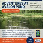 Adventures at Avalon Pond (9-11 yrs)