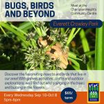 Bugs, Birds and Beyond (6-8 yrs)