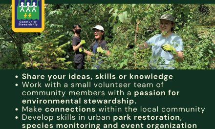 Join the Everett Crowley Park Committee