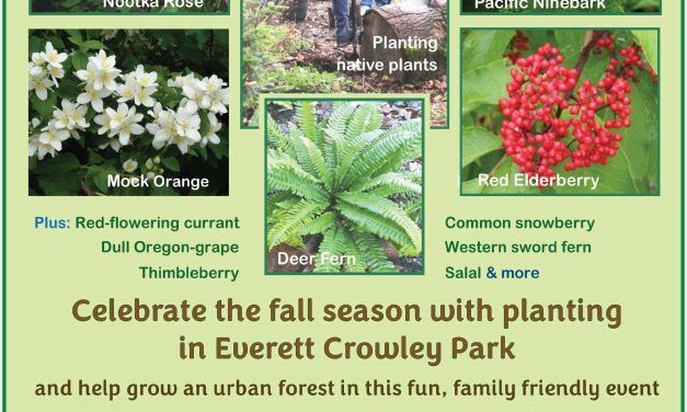 Fall Planting in Everett Crowley Park: Sunday Nov 5 from 10am-1pm
