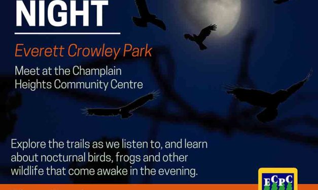 Sounds of the Night Walk at Everett Crowley Park-Thursdays