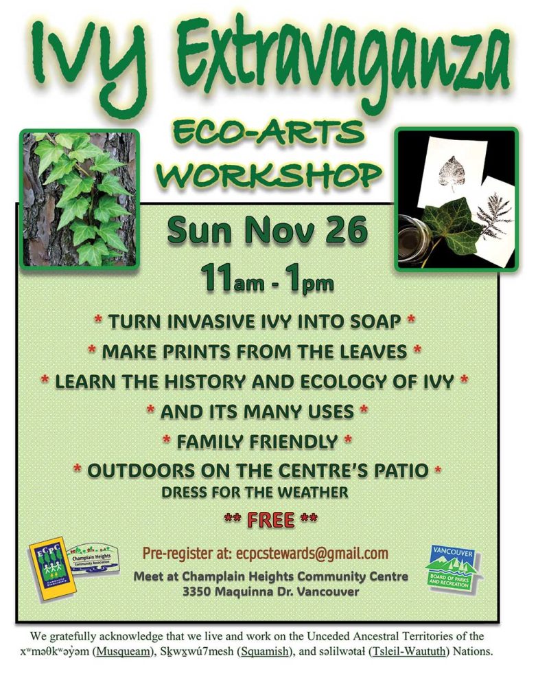 Sunday November 26, 11-pm TURN INVASIVE IVY INTO SOAP * * MAKE PRINTS FROM THE LEAVES * * LEARN THE HISTORY AND ECOLOGY OF IVY * * AND ITS MANY USES * * FAMILY FRIENDLY * * OUTDOORS ON THE CENTRE’S PATIO * DRESS FOR THE WEATHER Meet at Champlain Heights Community Centre 3350 Maquinna Dr. Vancouver Free but please pre-register. Email ecpecstewards@gmail.com 