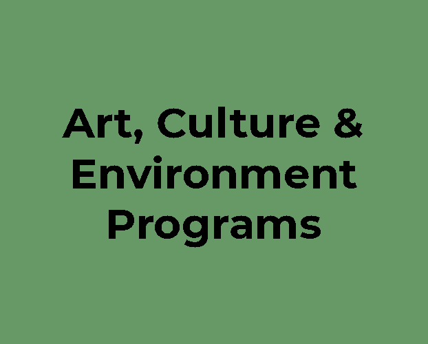 Art Adventurers
